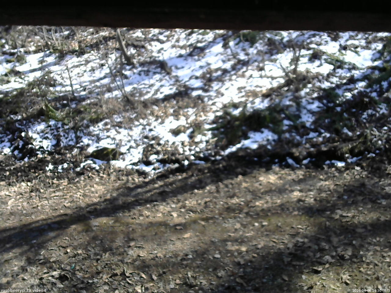 長野県菅平高原 ゆたか山荘 東側(坂下) 2026/04/08 14:30