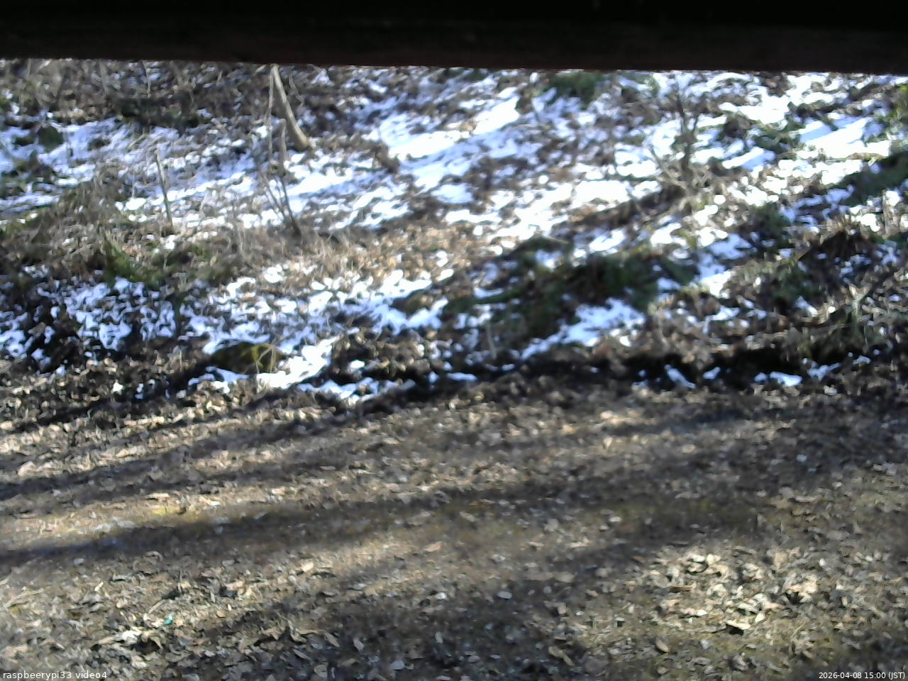 長野県菅平高原 ゆたか山荘 東側(坂下) 2026/04/08 15:00