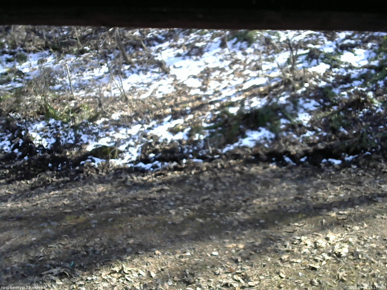 長野県菅平高原 ゆたか山荘 東側(坂下) 2026/04/08 15:15