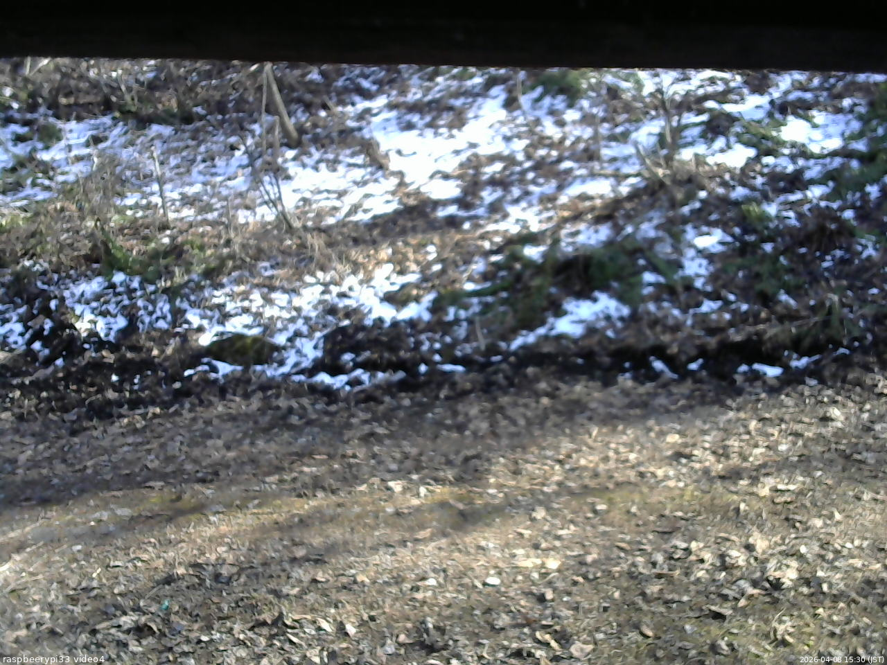 長野県菅平高原 ゆたか山荘 東側(坂下) 2026/04/08 15:30