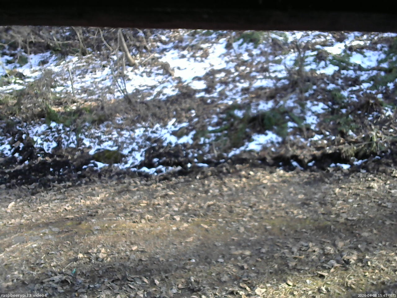 長野県菅平高原 ゆたか山荘 東側(坂下) 2026/04/08 15:45