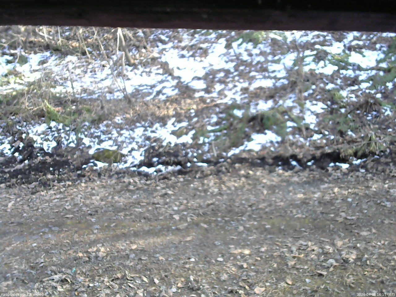 長野県菅平高原 ゆたか山荘 東側(坂下) 2026/04/08 16:15