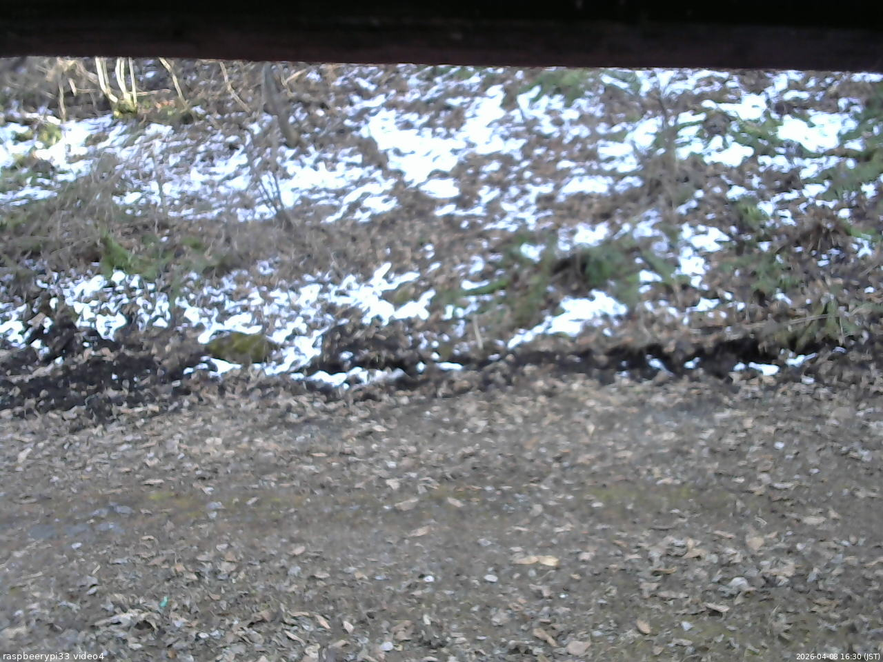 長野県菅平高原 ゆたか山荘 東側(坂下) 2026/04/08 16:30