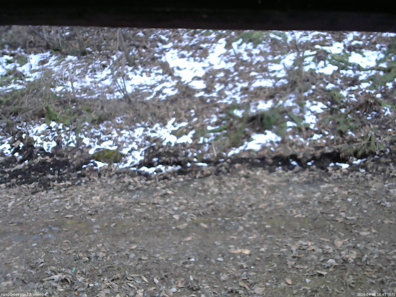 長野県菅平高原 ゆたか山荘 東側(坂下) 2026/04/08 16:45