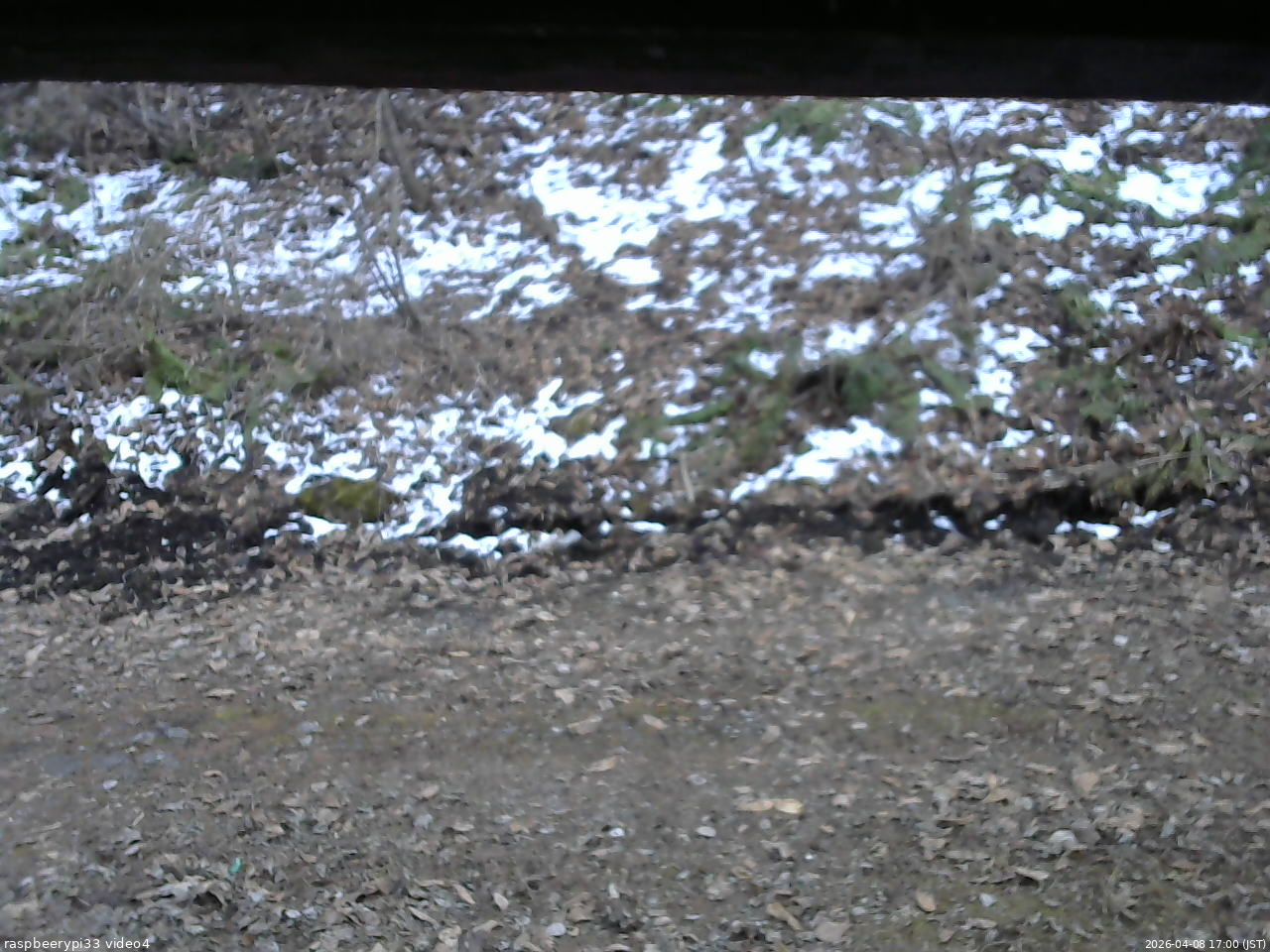 長野県菅平高原 ゆたか山荘 東側(坂下) 2026/04/08 17:00