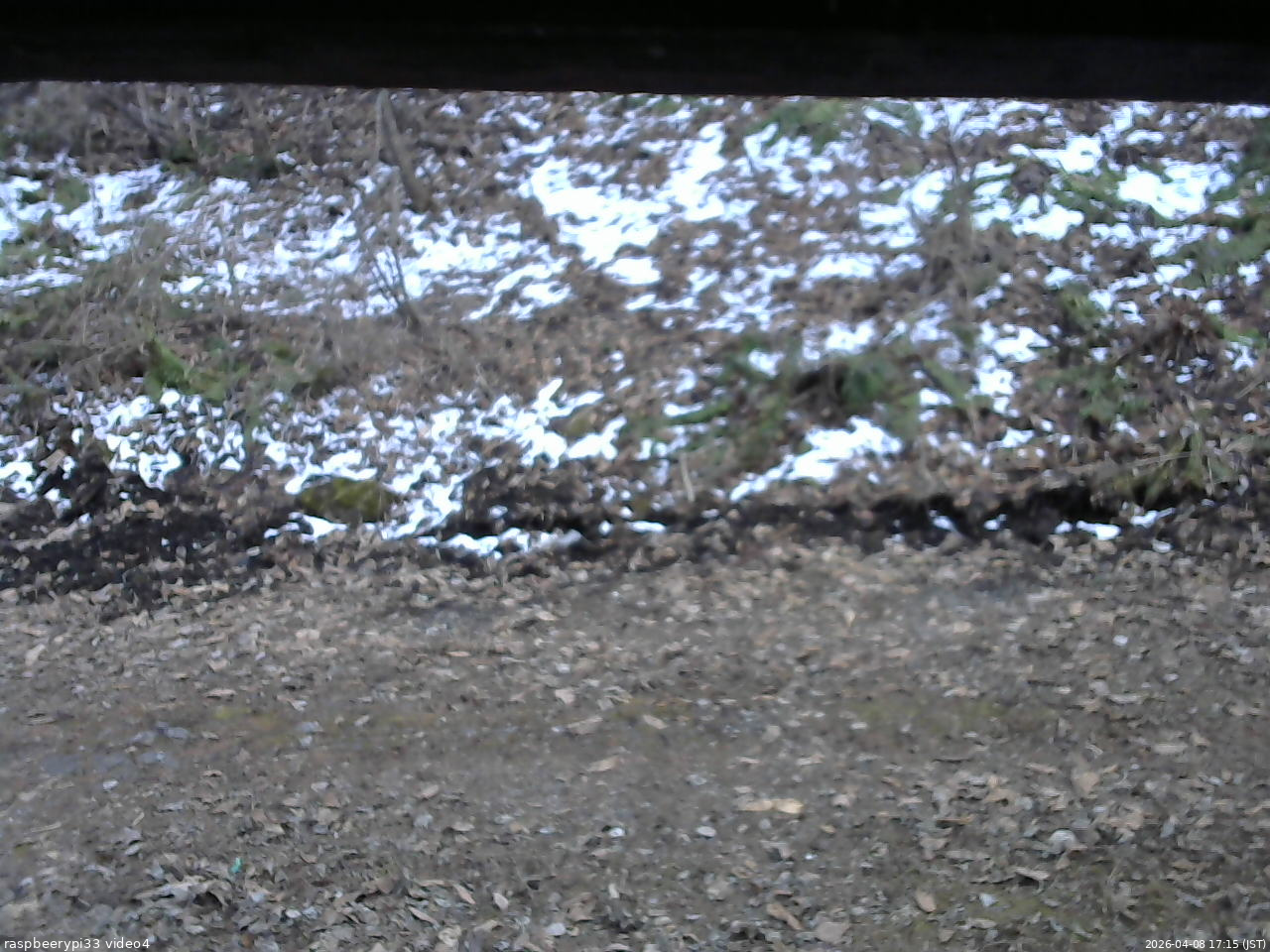 長野県菅平高原 ゆたか山荘 東側(坂下) 2026/04/08 17:15