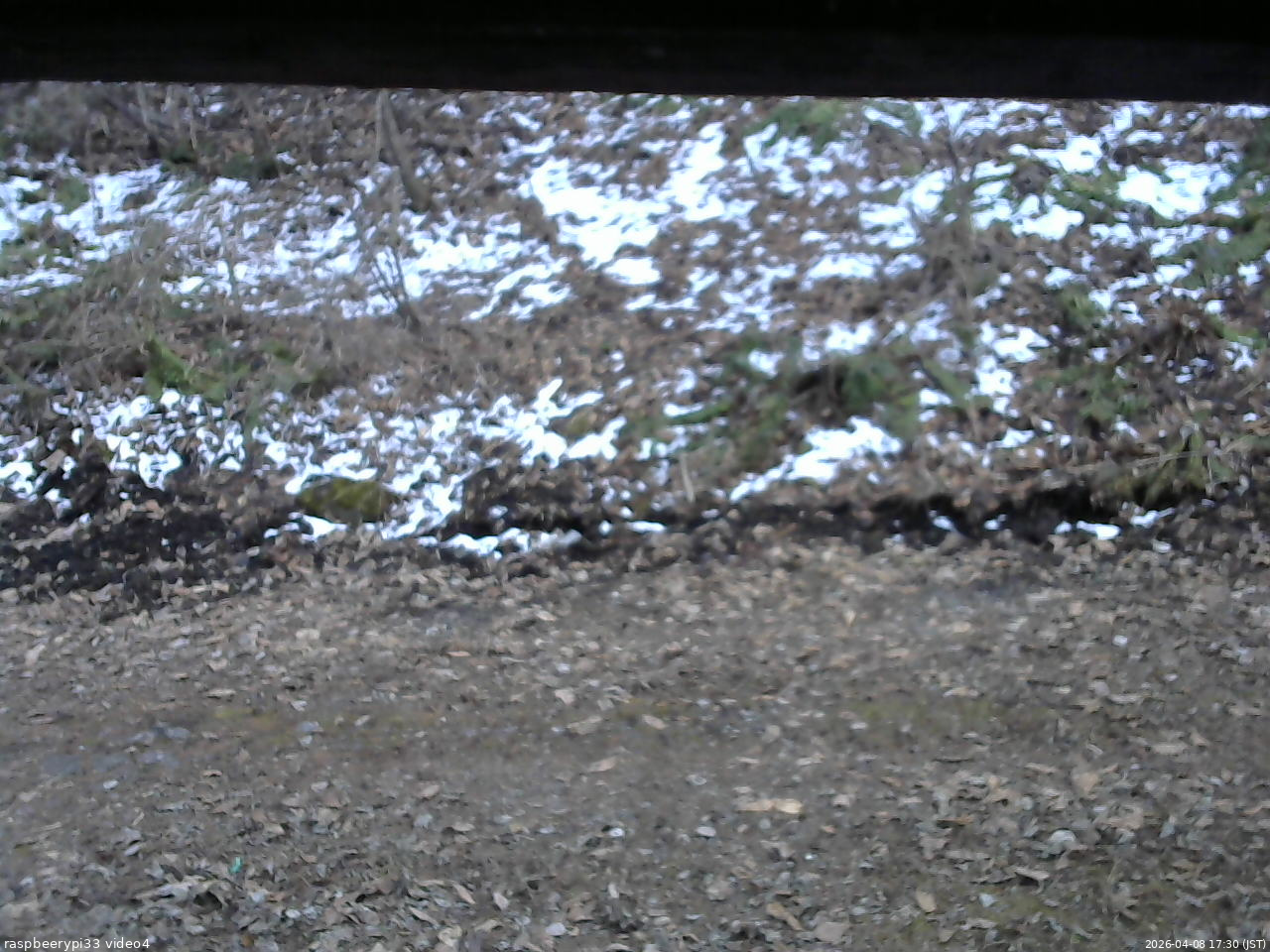 長野県菅平高原 ゆたか山荘 東側(坂下) 2026/04/08 17:30