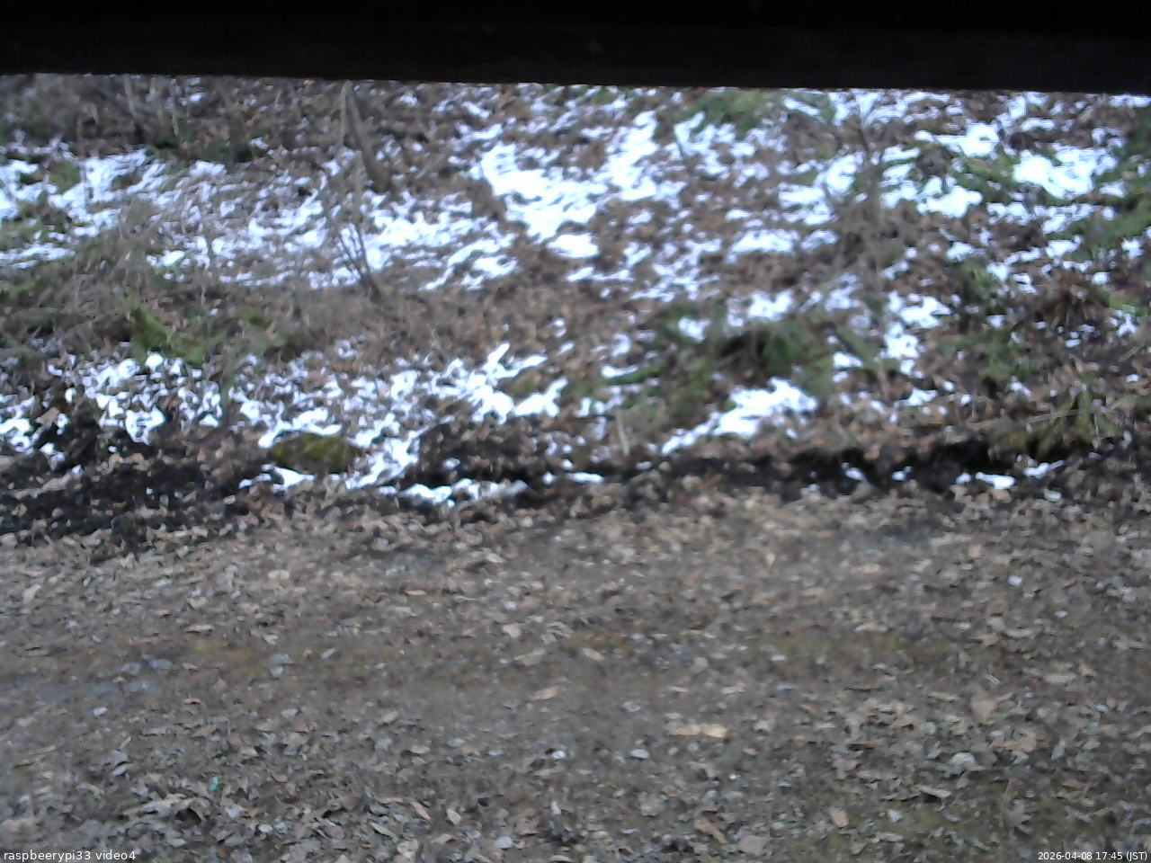 長野県菅平高原 ゆたか山荘 東側(坂下) 2026/04/08 17:45