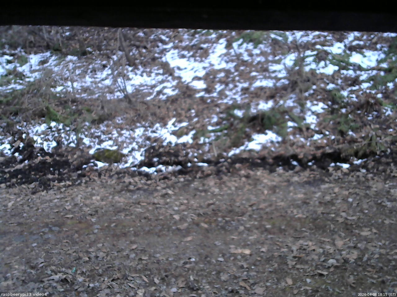 長野県菅平高原 ゆたか山荘 東側(坂下) 2026/04/08 18:15