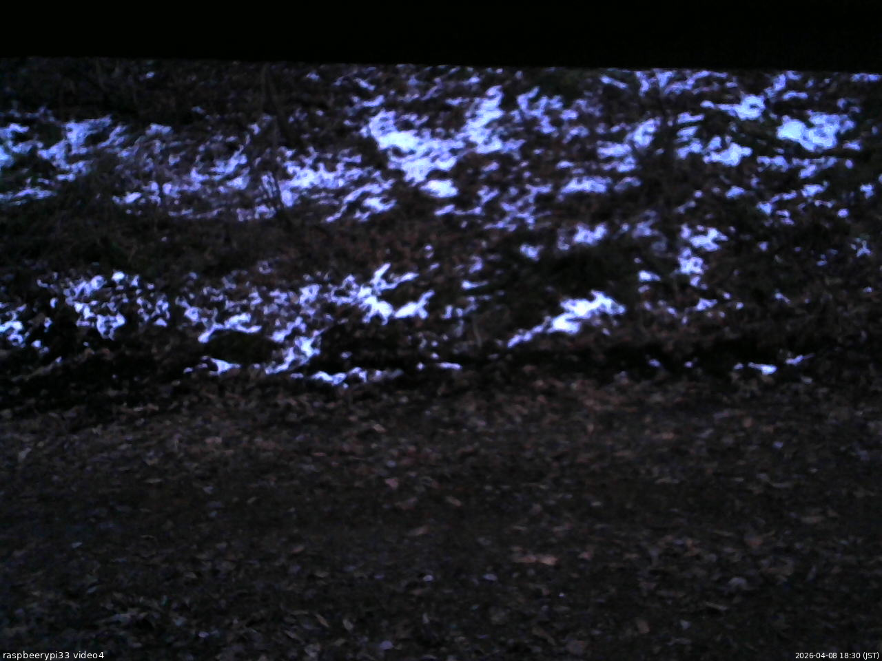 長野県菅平高原 ゆたか山荘 東側(坂下) 2026/04/08 18:30