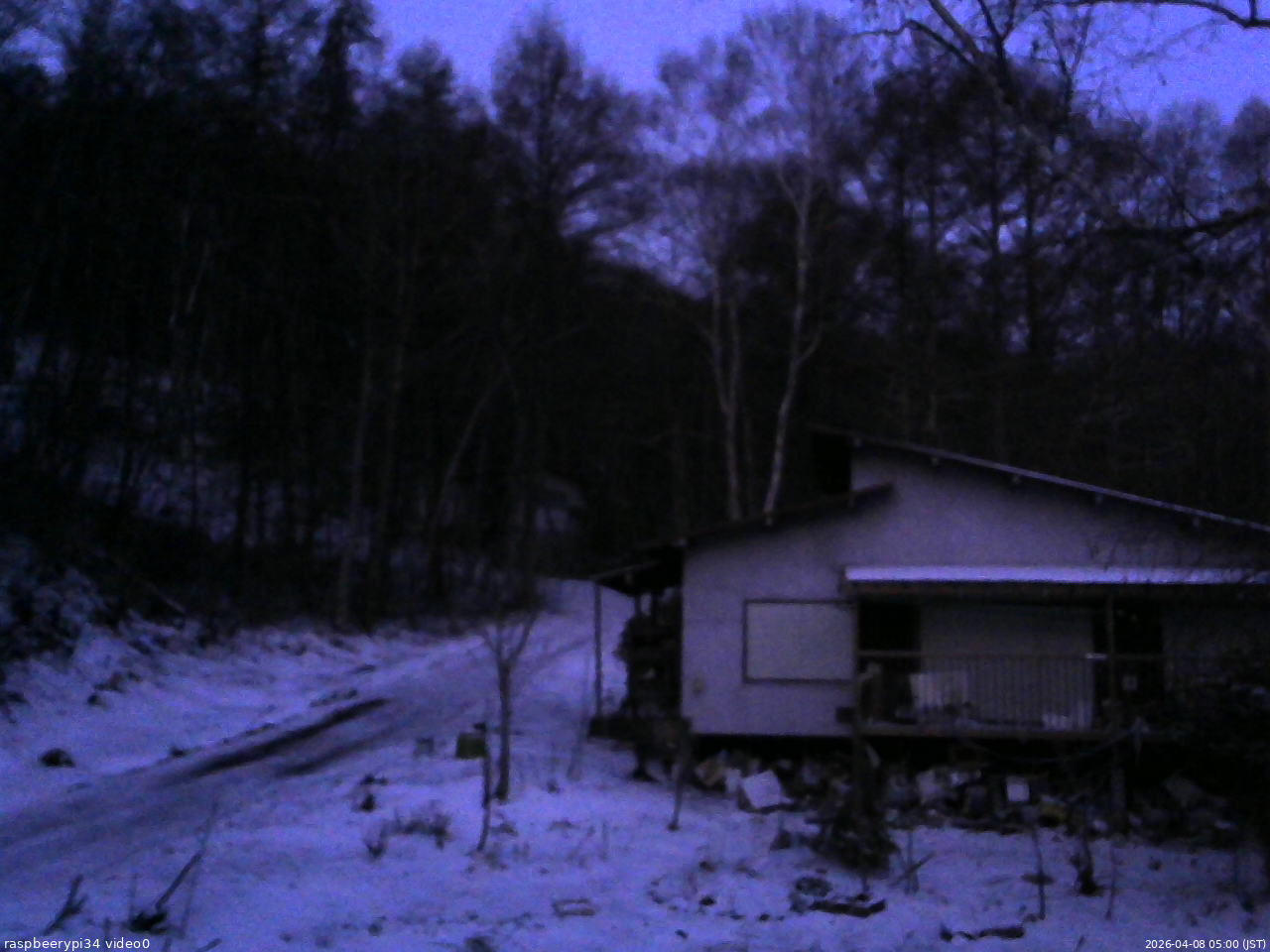 長野県菅平高原 ゆたか山荘 西側(坂上) 2026/04/08 05:00