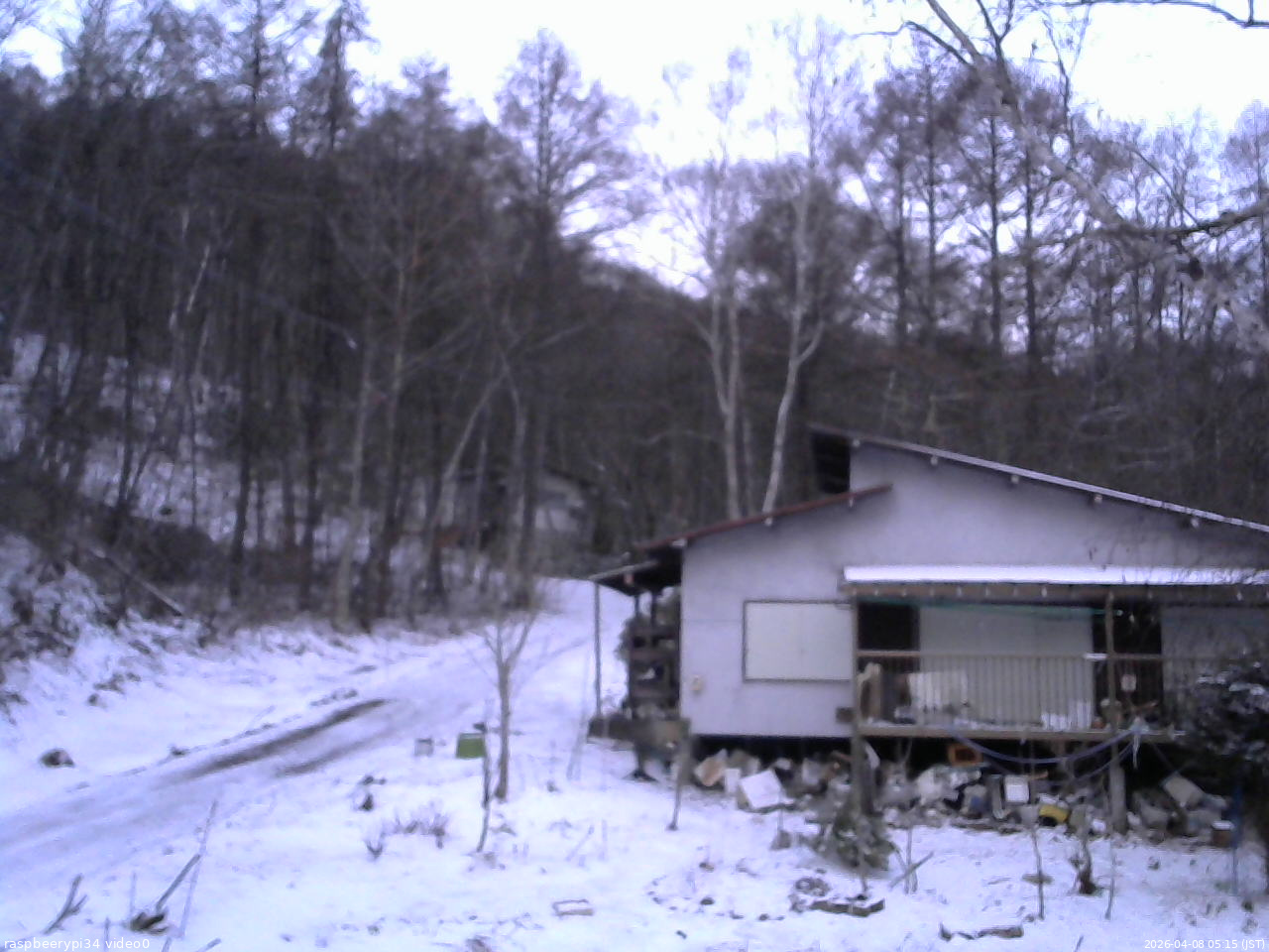 長野県菅平高原 ゆたか山荘 西側(坂上) 2026/04/08 05:15