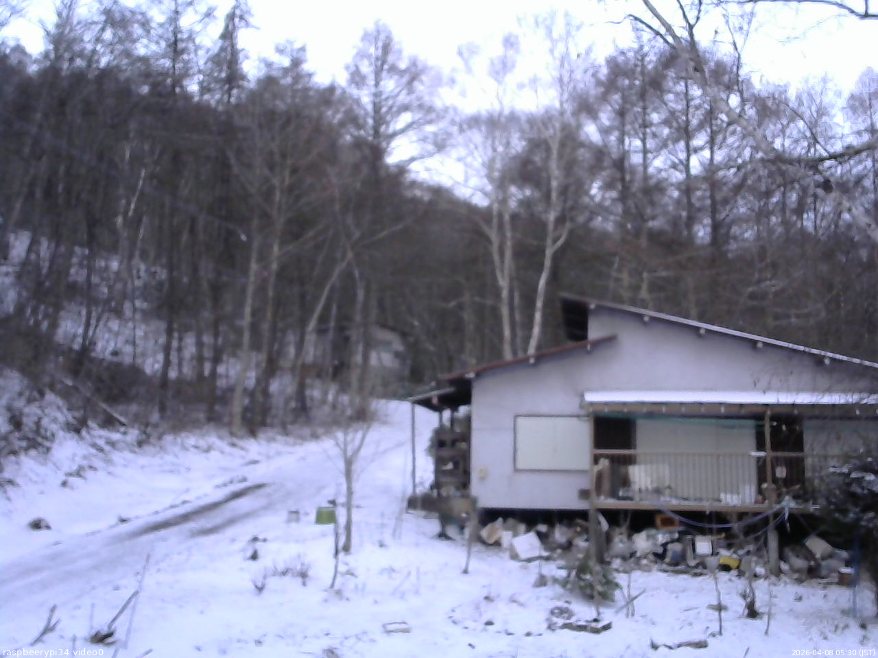 長野県菅平高原 ゆたか山荘 西側(坂上) 2026/04/08 05:30