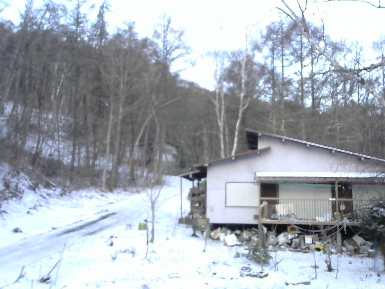 長野県菅平高原 ゆたか山荘 西側(坂上) 2026/04/08 05:45