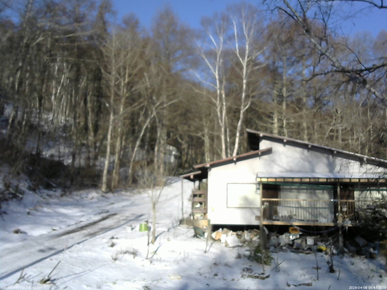 長野県菅平高原 ゆたか山荘 西側(坂上) 2026/04/08 06:45