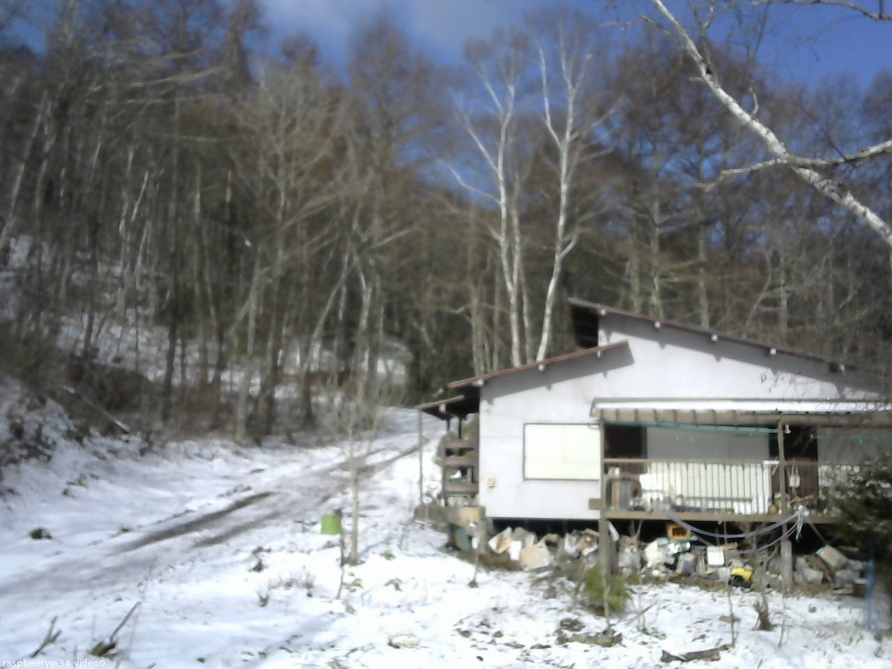 長野県菅平高原 ゆたか山荘 西側(坂上) 2026/04/08 08:00