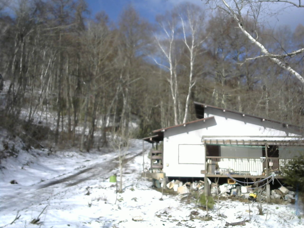 長野県菅平高原 ゆたか山荘 西側(坂上) 2026/04/08 08:15