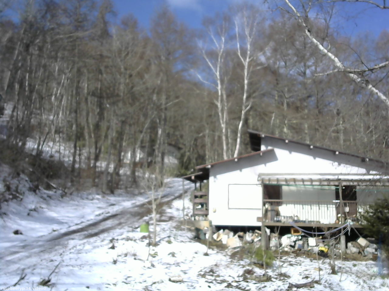 長野県菅平高原 ゆたか山荘 西側(坂上) 2026/04/08 08:30