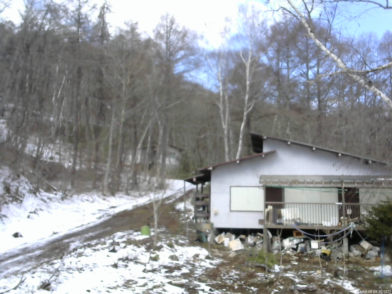 長野県菅平高原 ゆたか山荘 西側(坂上) 2026/04/08 09:30