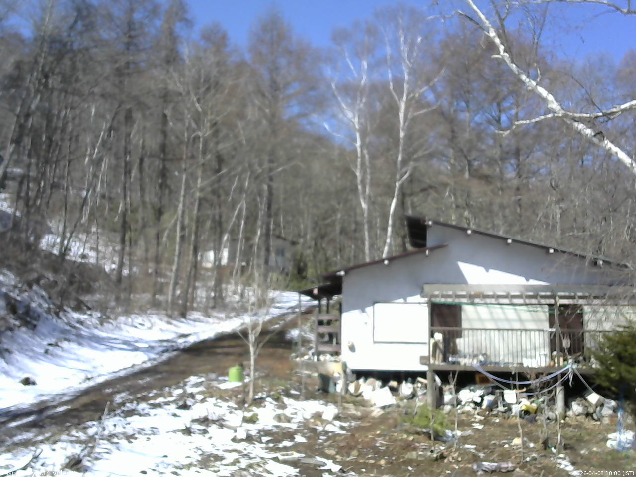 長野県菅平高原 ゆたか山荘 西側(坂上) 2026/04/08 10:00