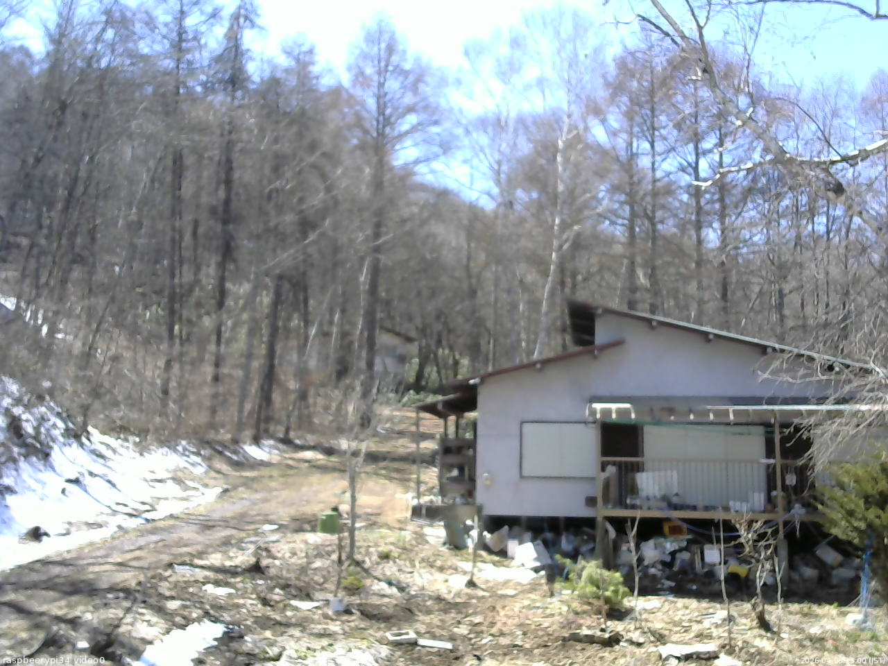 長野県菅平高原 ゆたか山荘 西側(坂上) 2026/04/08 13:00