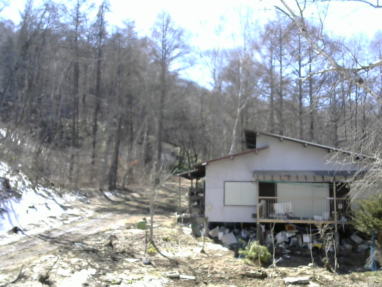 長野県菅平高原 ゆたか山荘 西側(坂上) 2026/04/08 14:00
