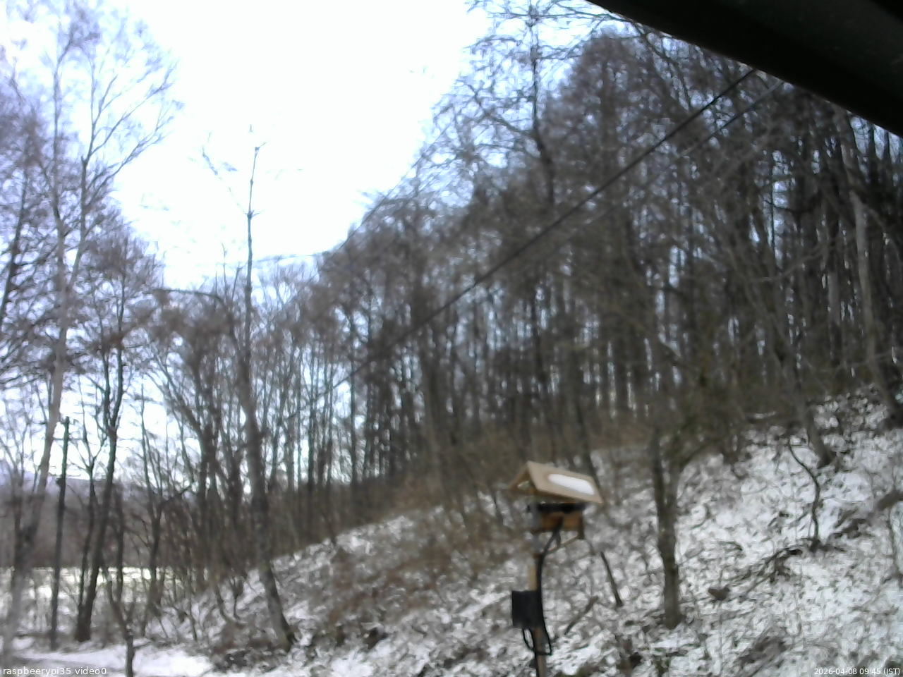 長野県菅平高原 ゆたか山荘 温度計 2026/04/08 09:45