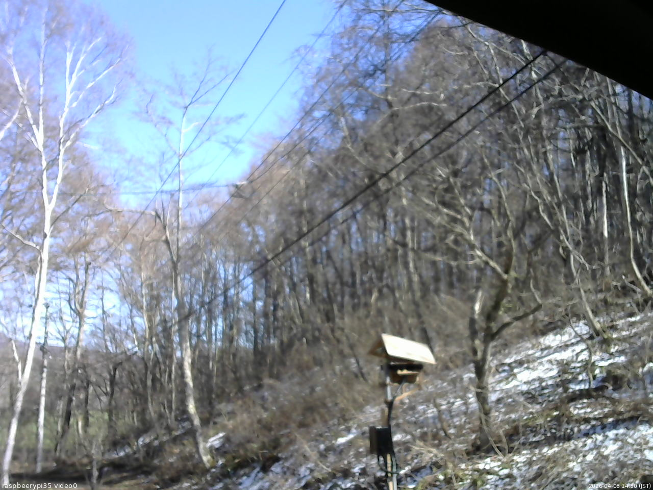 長野県菅平高原 ゆたか山荘 温度計 2026/04/08 14:30