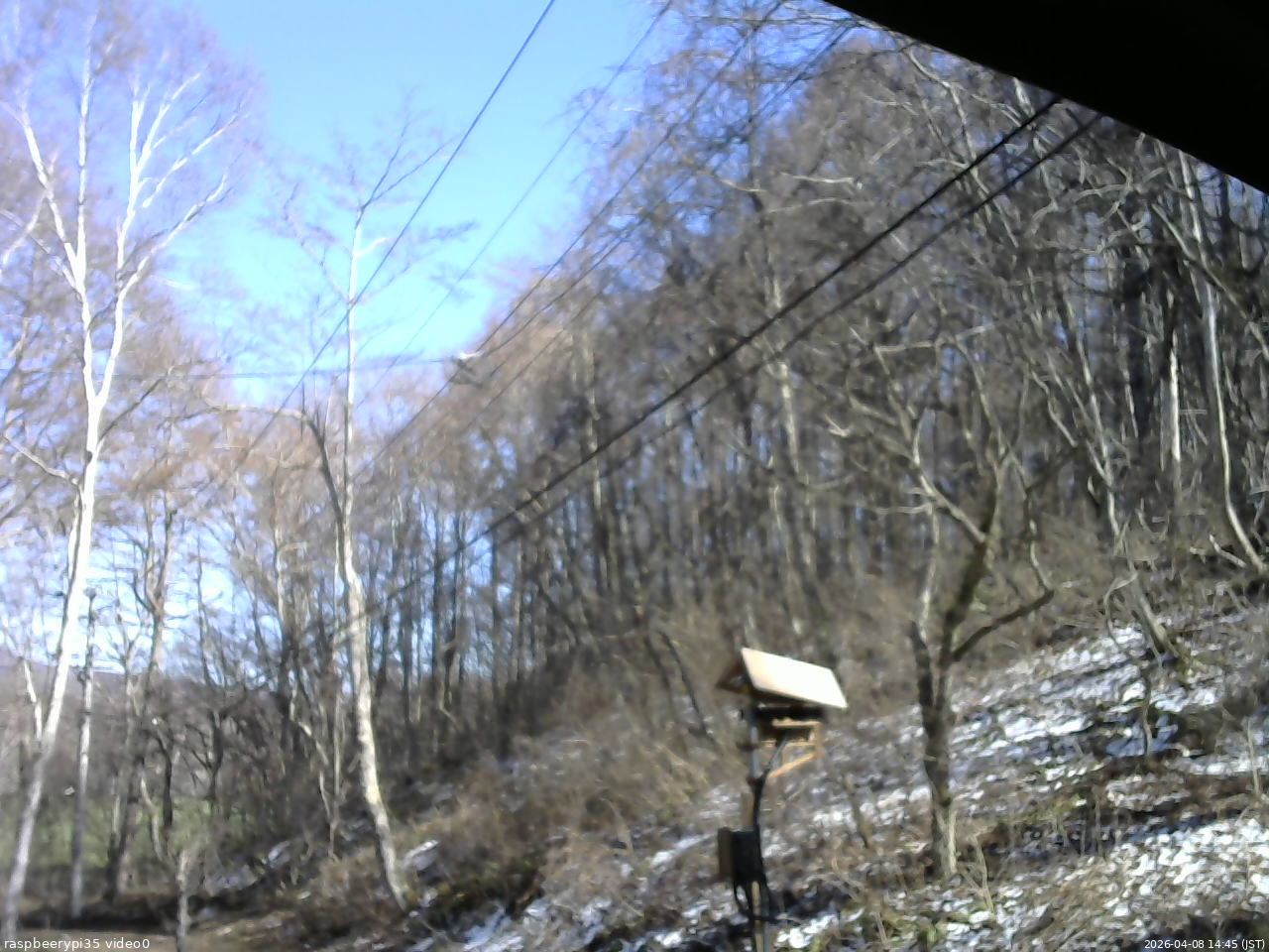 長野県菅平高原 ゆたか山荘 温度計 2026/04/08 14:45