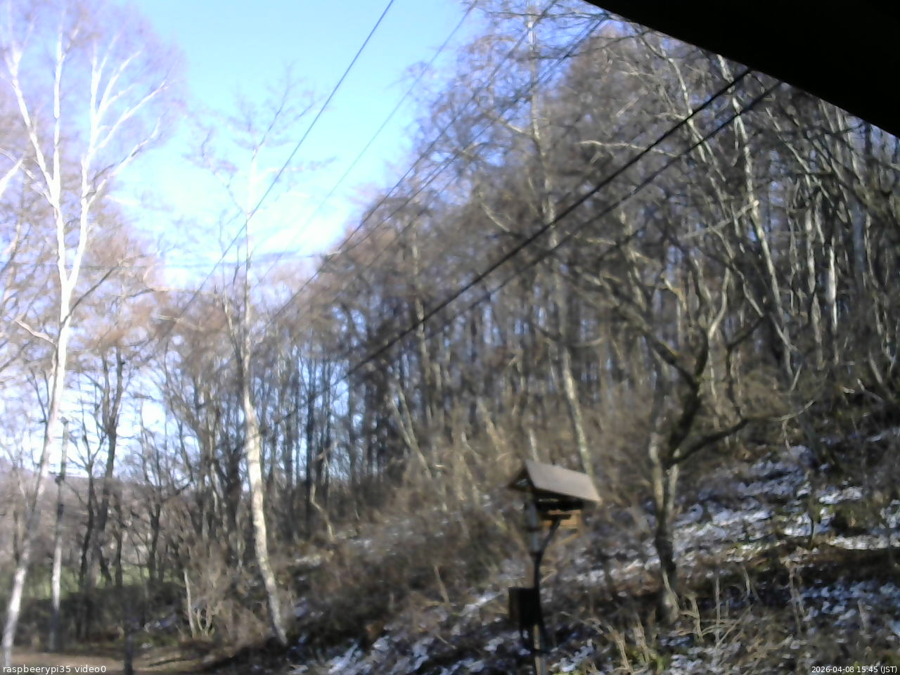 長野県菅平高原 ゆたか山荘 温度計 2026/04/08 15:45