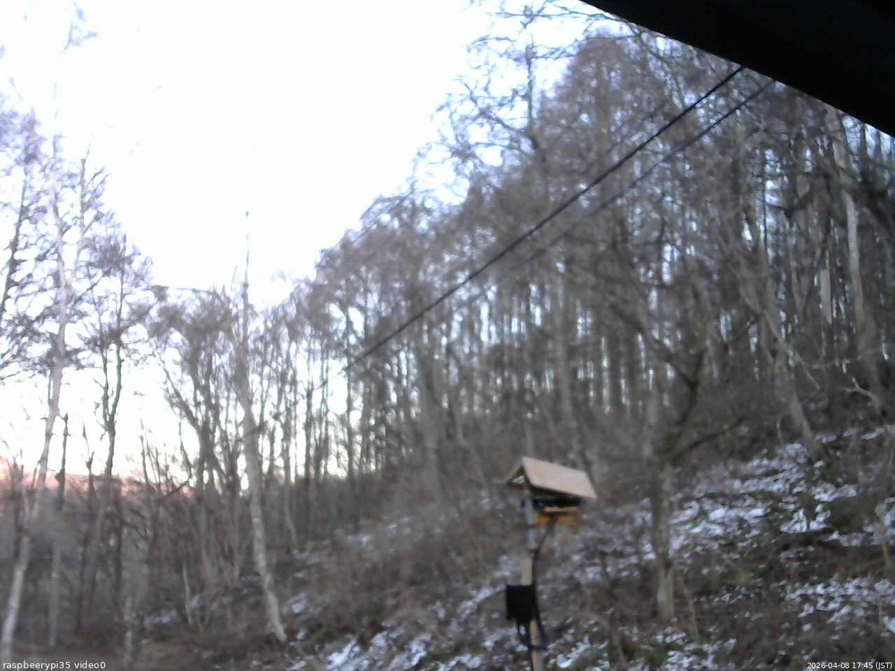 長野県菅平高原 ゆたか山荘 温度計 2026/04/08 17:45