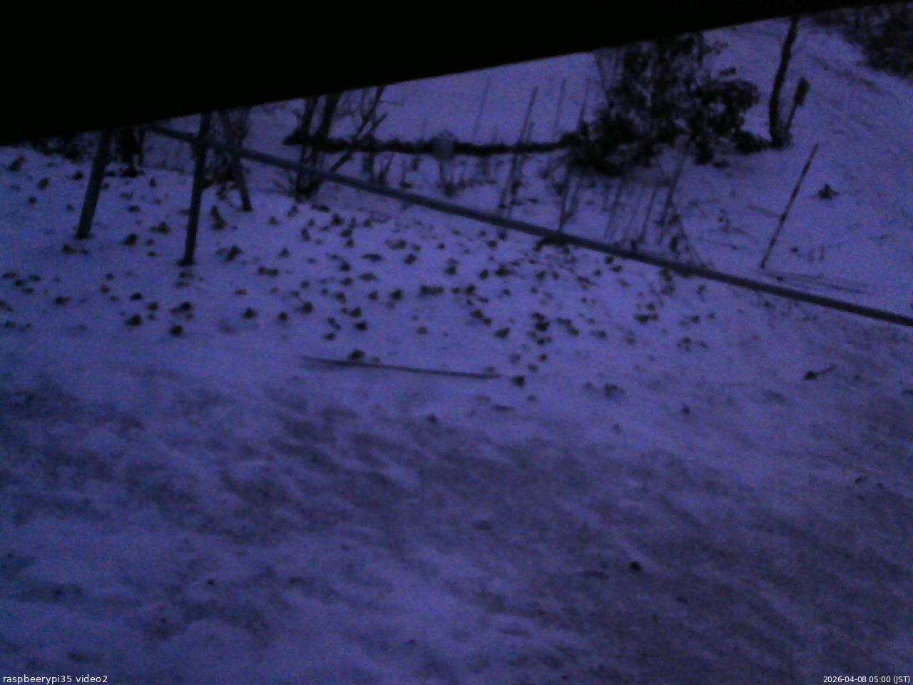 長野県菅平高原 ゆたか山荘 駐車場 2026/04/08 05:00