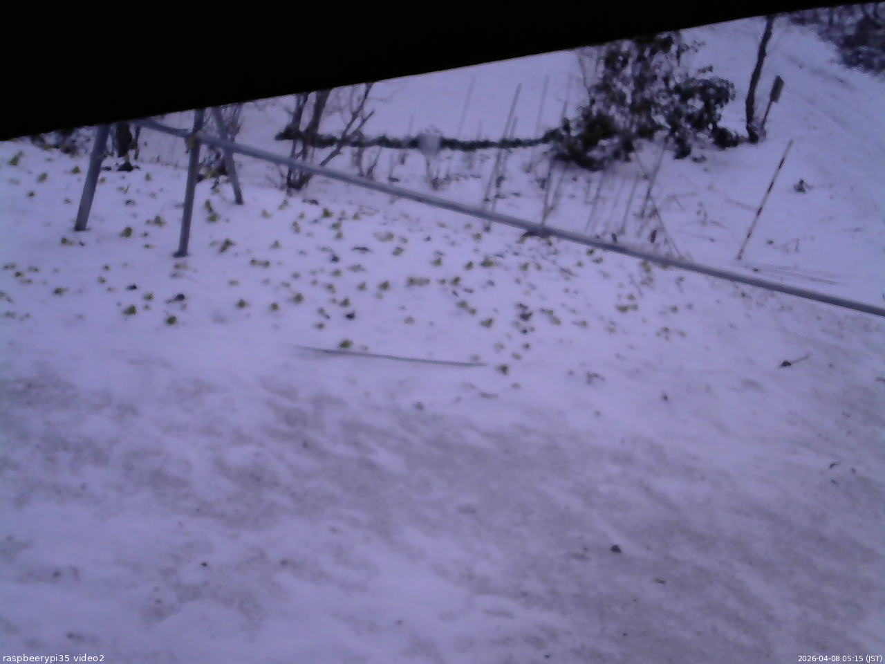 長野県菅平高原 ゆたか山荘 駐車場 2026/04/08 05:15