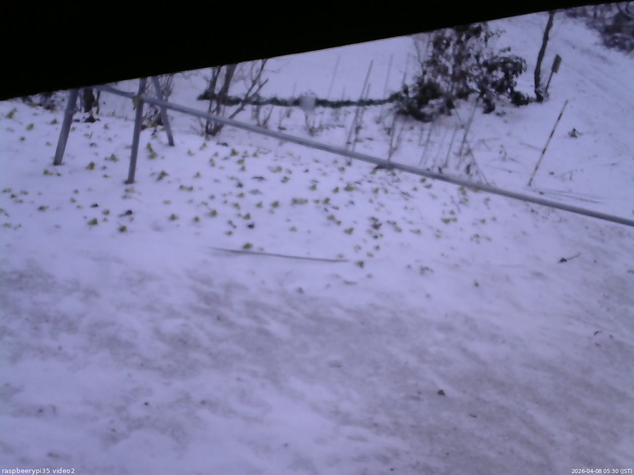 長野県菅平高原 ゆたか山荘 駐車場 2026/04/08 05:30