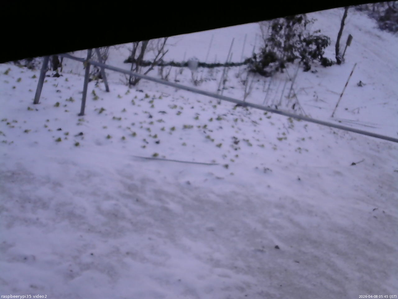 長野県菅平高原 ゆたか山荘 駐車場 2026/04/08 05:45