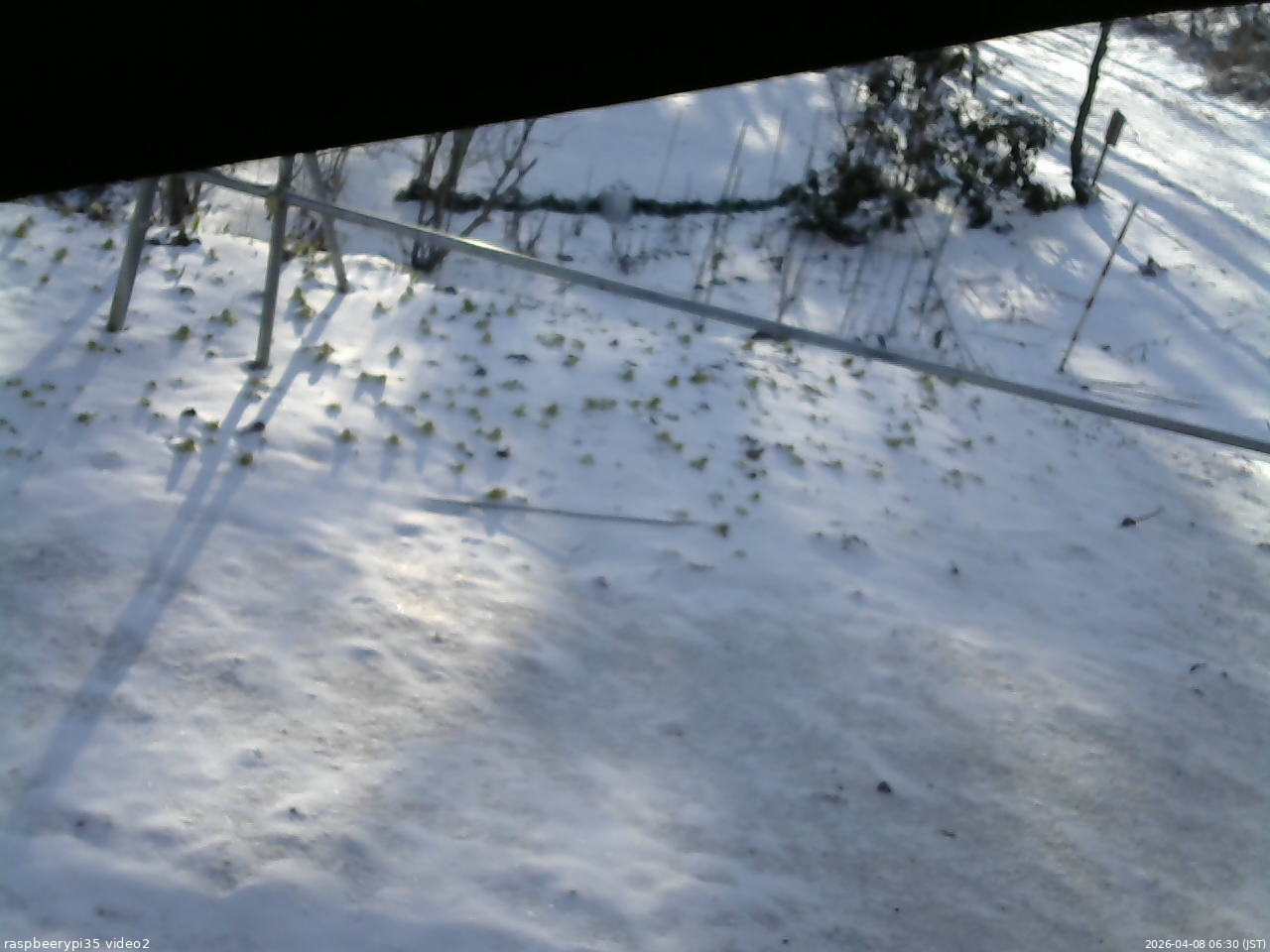 長野県菅平高原 ゆたか山荘 駐車場 2026/04/08 06:30