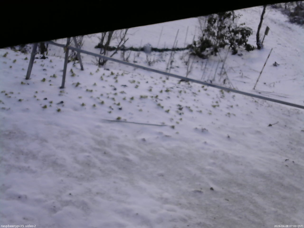 長野県菅平高原 ゆたか山荘 駐車場 2026/04/08 07:00