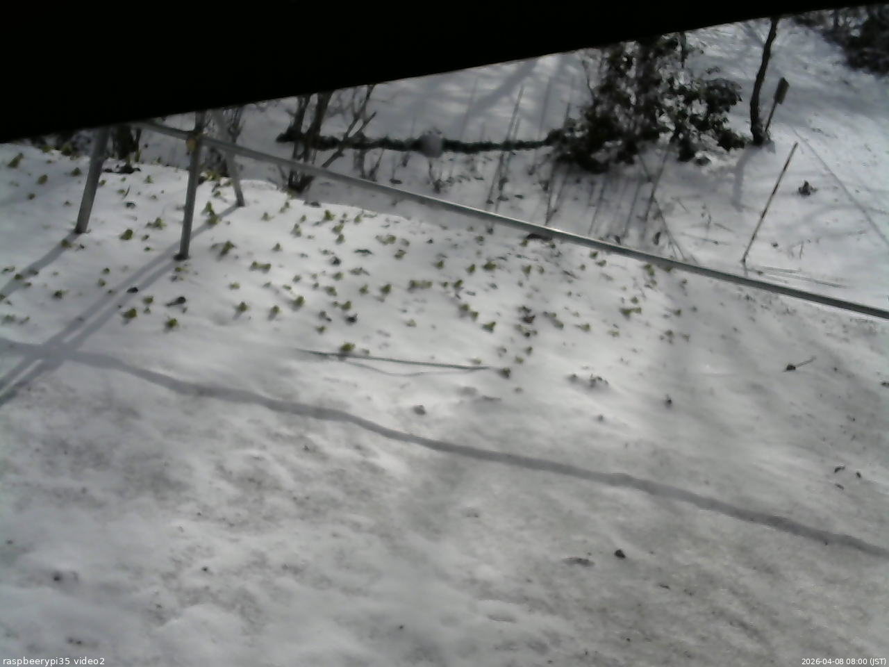 長野県菅平高原 ゆたか山荘 駐車場 2026/04/08 08:00
