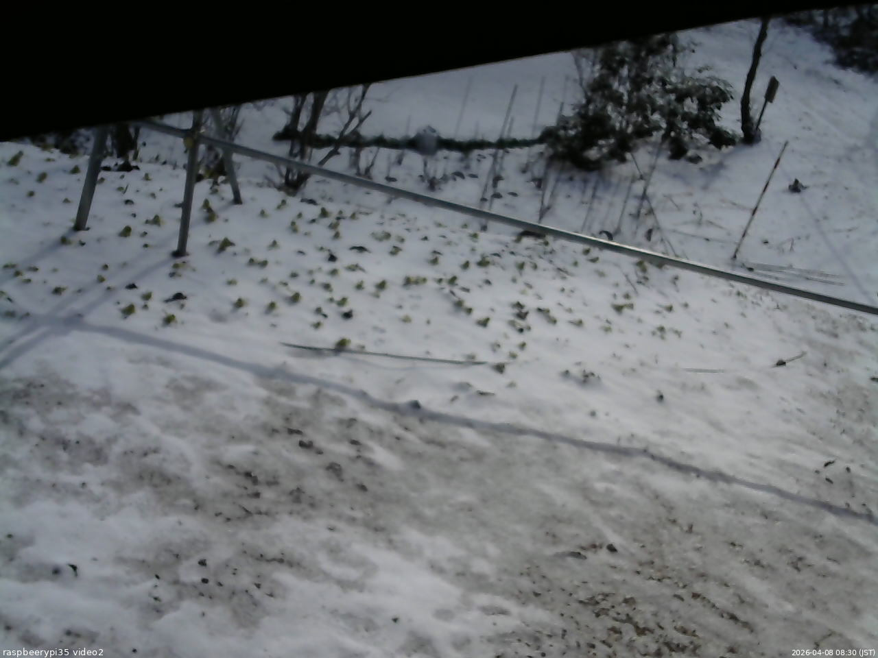 長野県菅平高原 ゆたか山荘 駐車場 2026/04/08 08:30