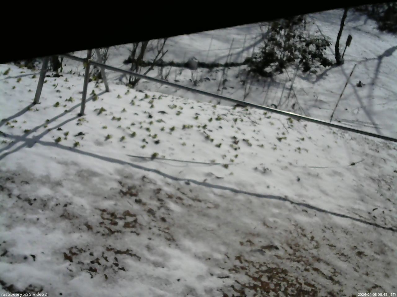 長野県菅平高原 ゆたか山荘 駐車場 2026/04/08 08:45