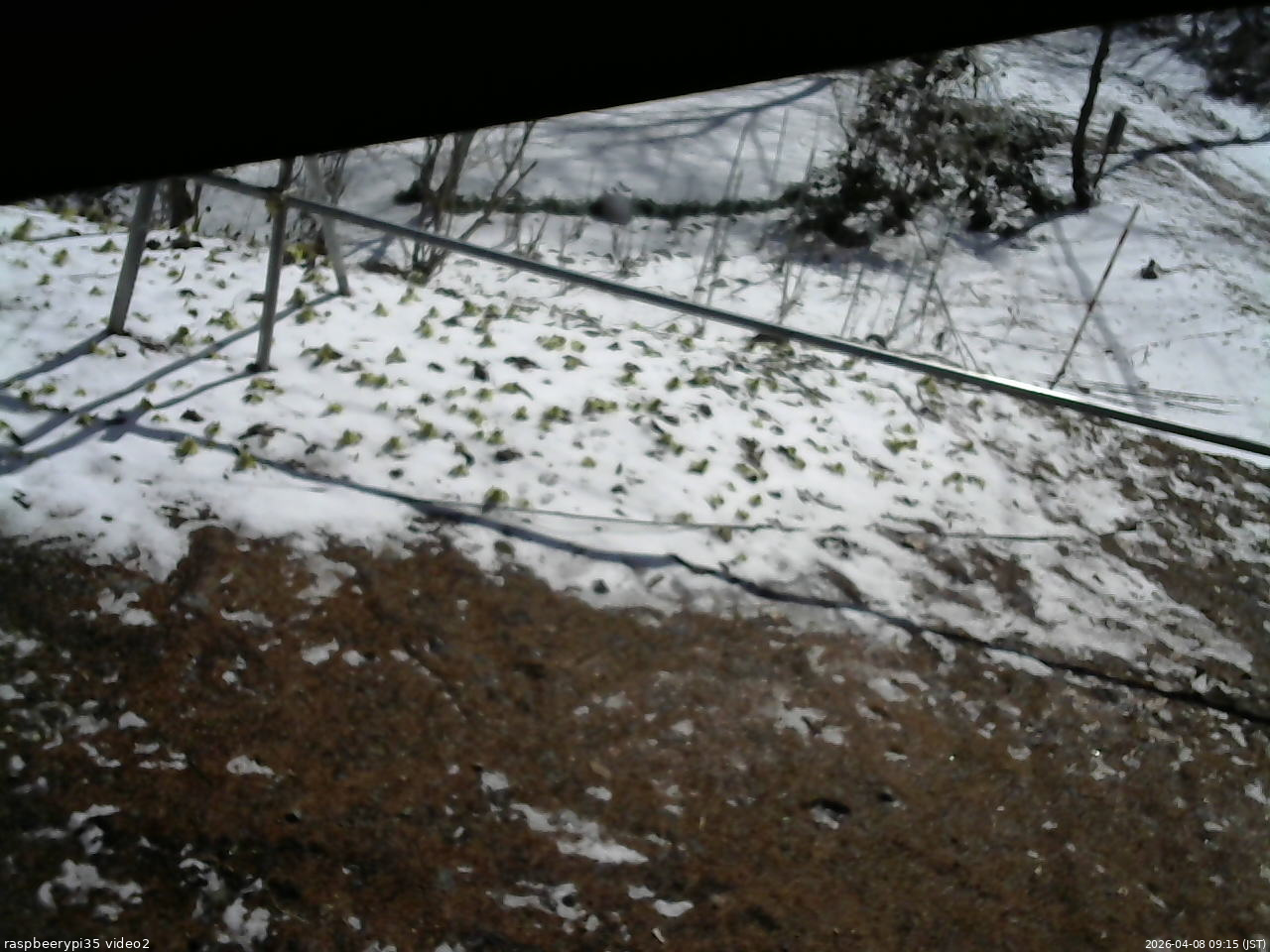 長野県菅平高原 ゆたか山荘 駐車場 2026/04/08 09:15