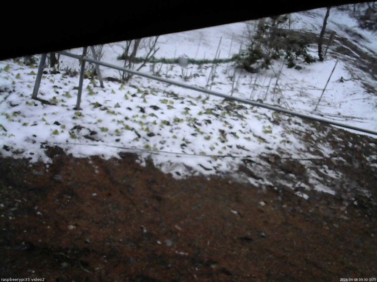 長野県菅平高原 ゆたか山荘 駐車場 2026/04/08 09:30