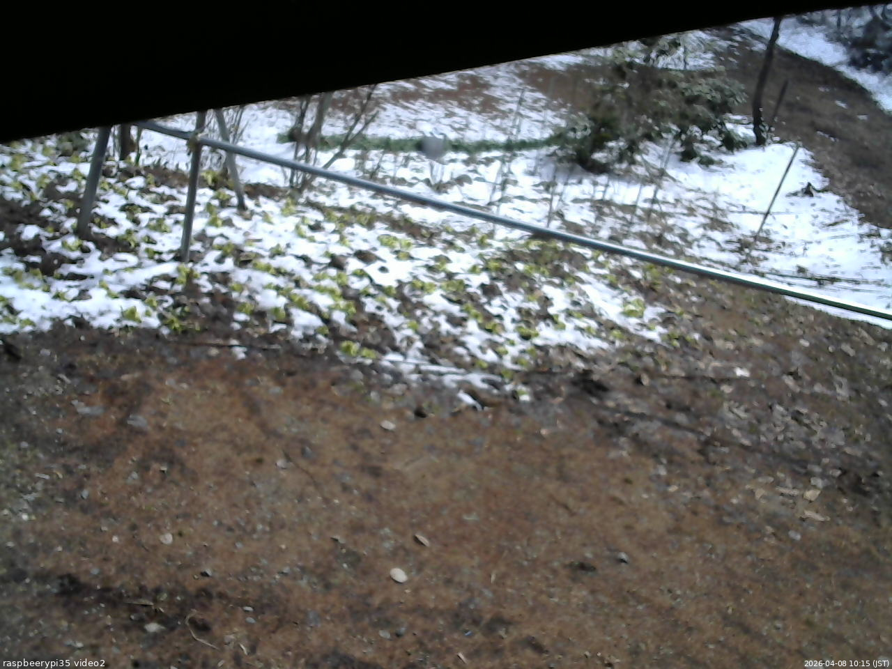 長野県菅平高原 ゆたか山荘 駐車場 2026/04/08 10:15