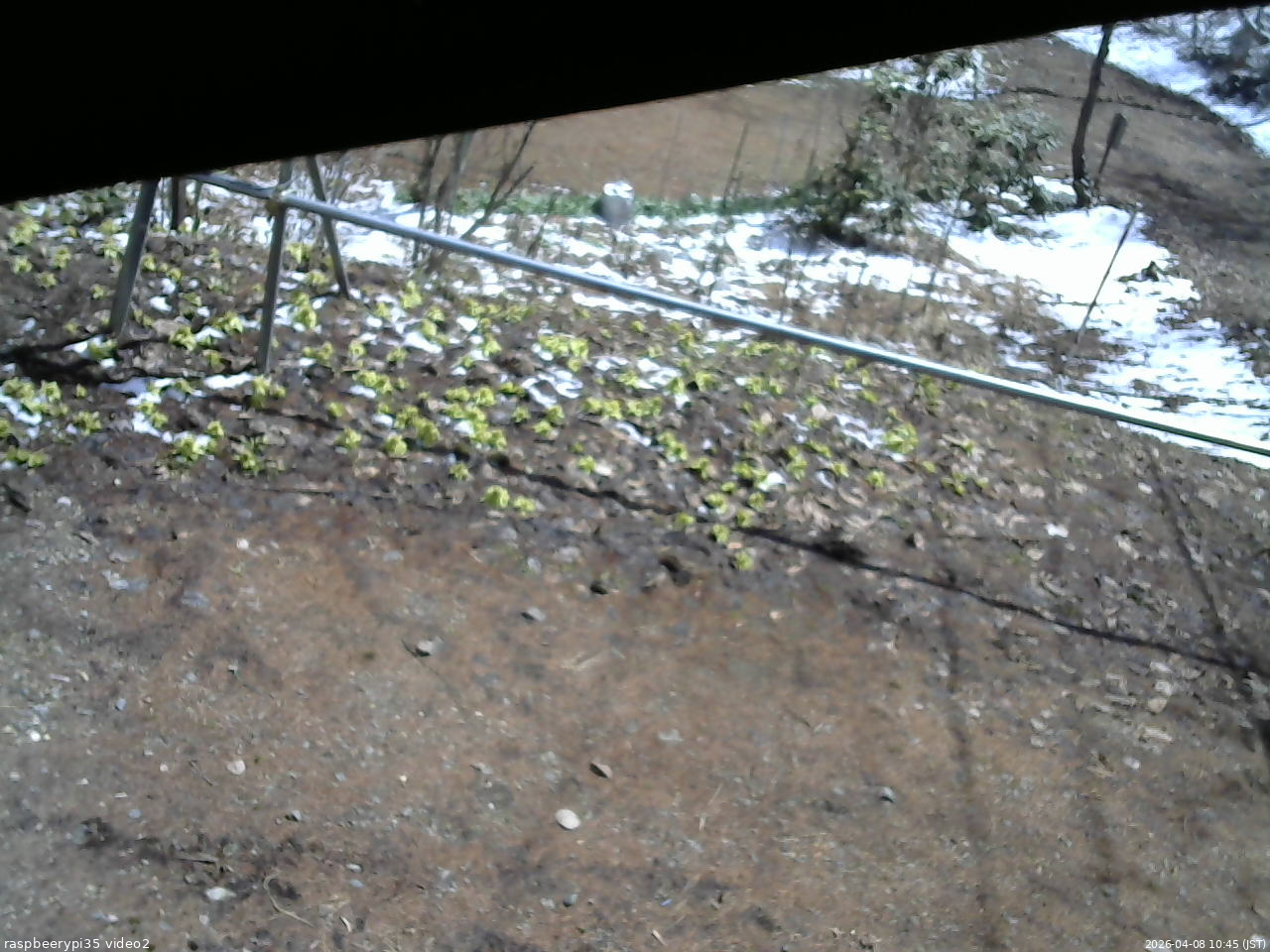 長野県菅平高原 ゆたか山荘 駐車場 2026/04/08 10:45