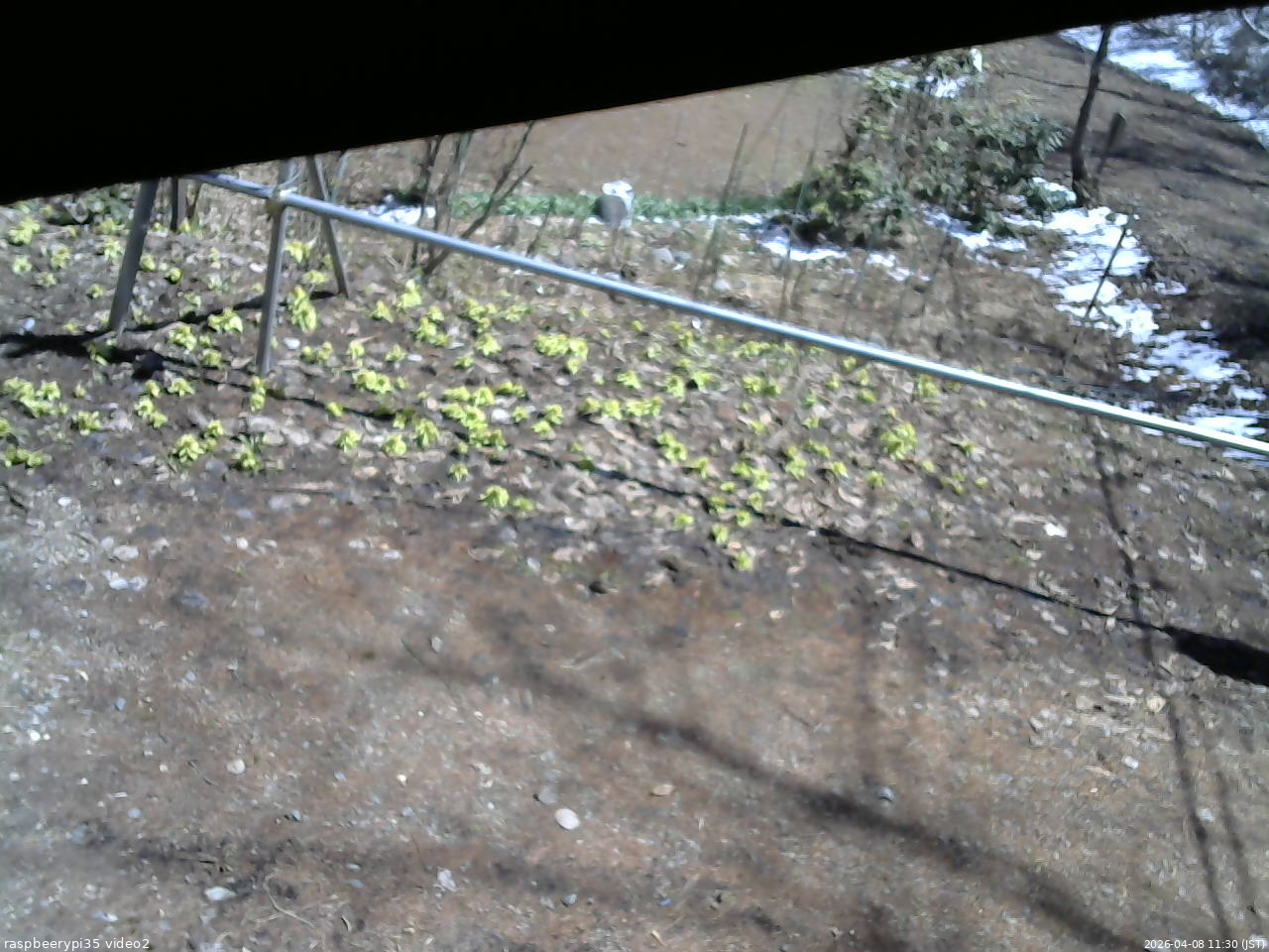 長野県菅平高原 ゆたか山荘 駐車場 2026/04/08 11:30