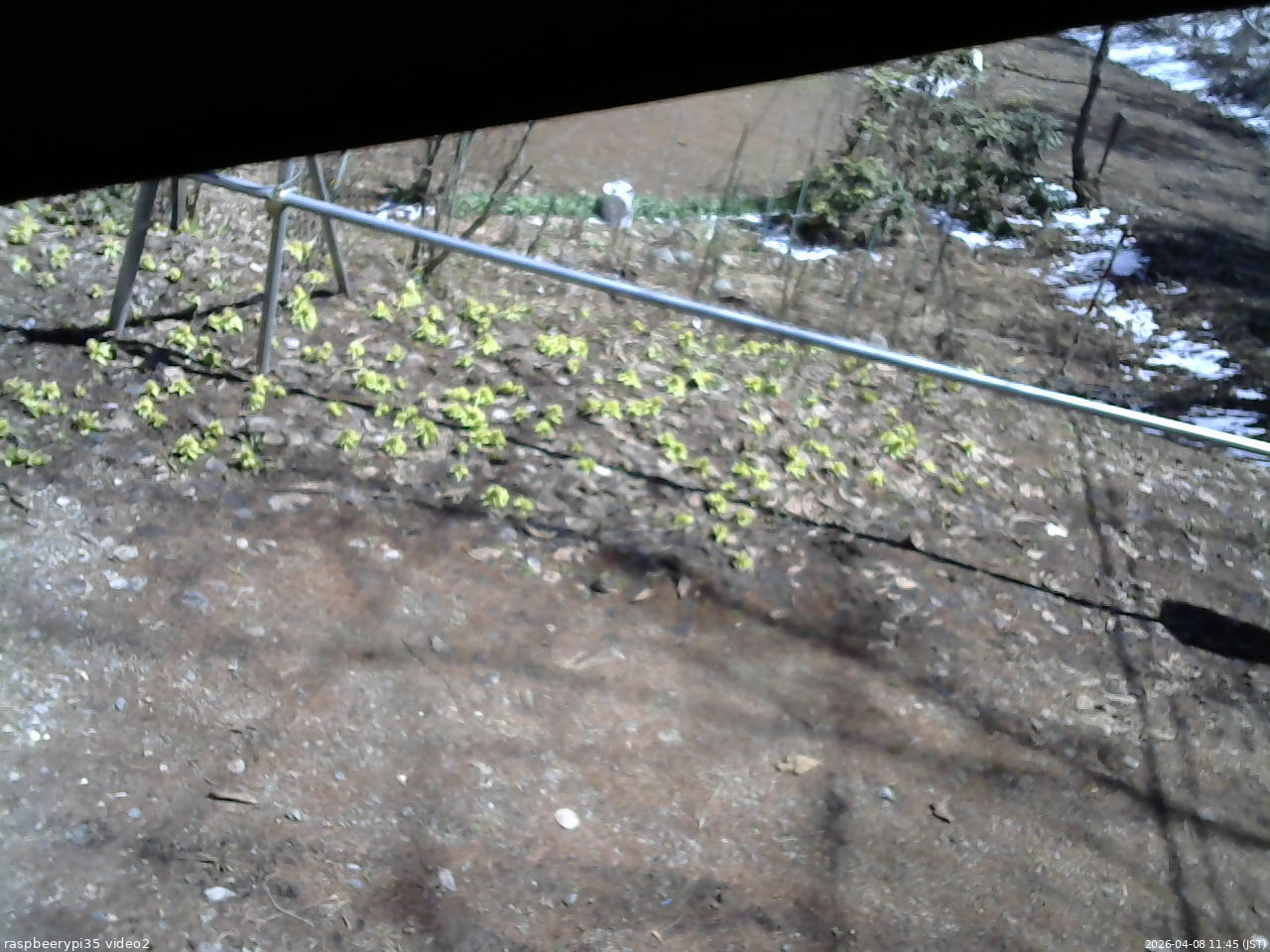 長野県菅平高原 ゆたか山荘 駐車場 2026/04/08 11:45