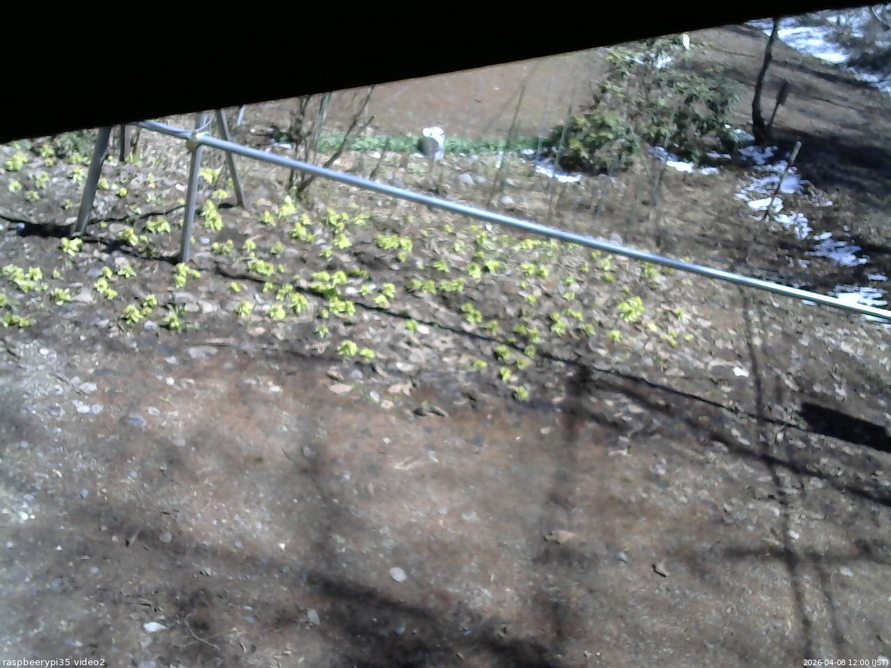 長野県菅平高原 ゆたか山荘 駐車場 2026/04/08 12:00