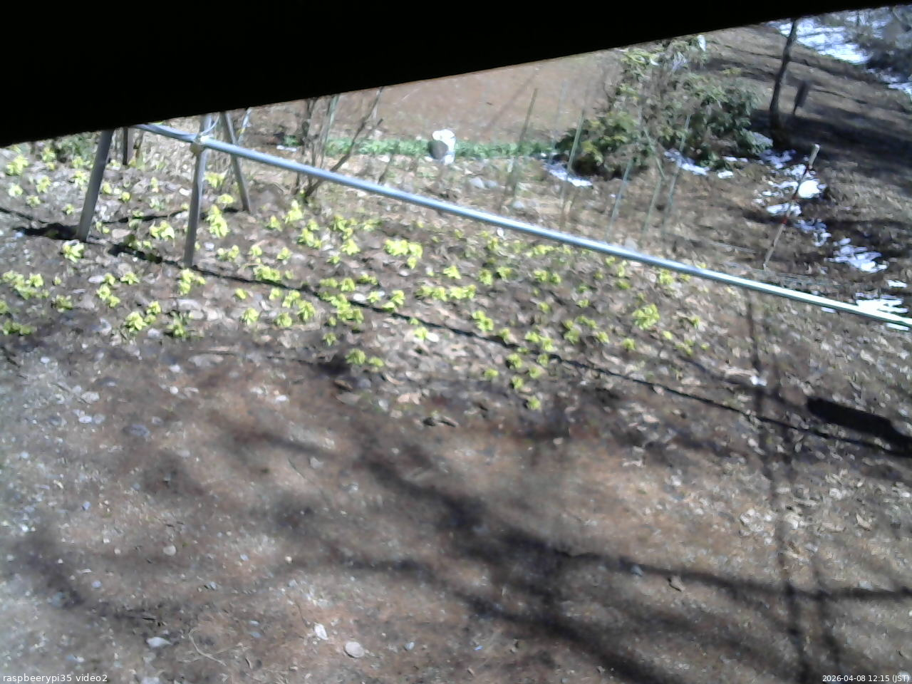 長野県菅平高原 ゆたか山荘 駐車場 2026/04/08 12:15