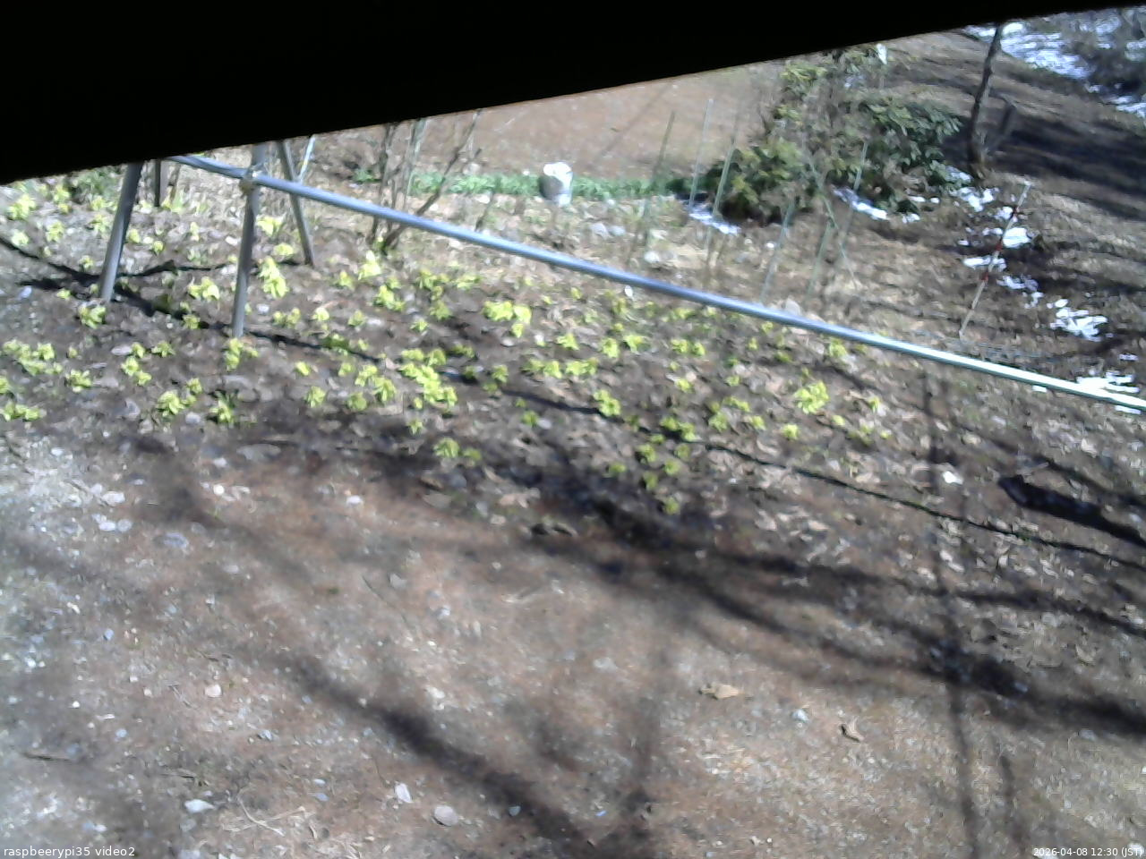 長野県菅平高原 ゆたか山荘 駐車場 2026/04/08 12:30