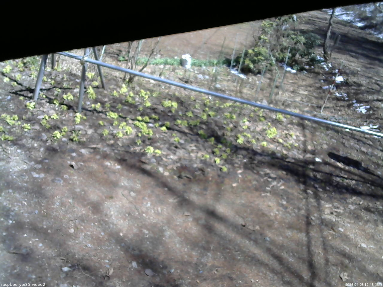 長野県菅平高原 ゆたか山荘 駐車場 2026/04/08 12:45